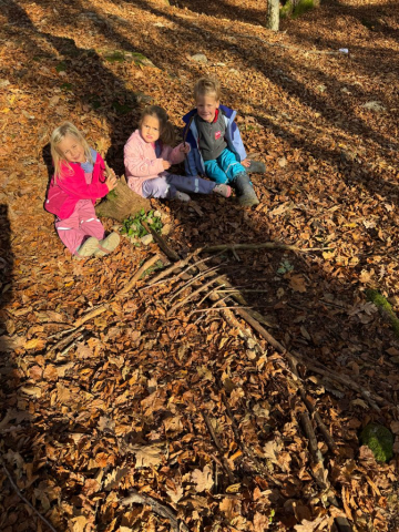 Gozdne-dogodivscine-2025-6