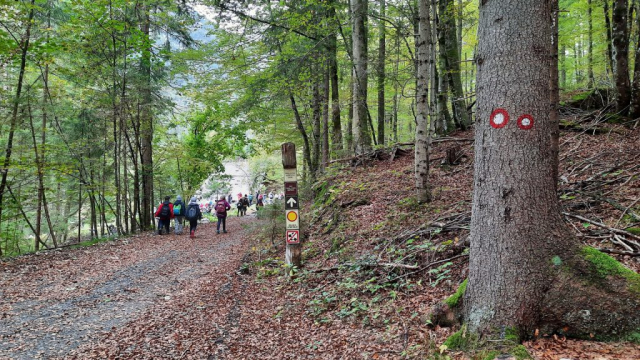 markacije in smerokazi