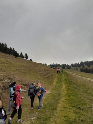 4_foto_Ian Z_Proti_Kriski_planini